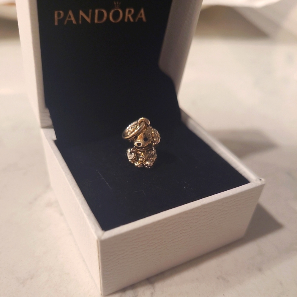 Pandora charm